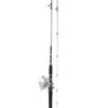 Daiwa Silvercast Blister Combo