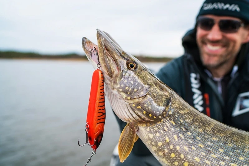 Daiwa Prorex Lazy Jerk Slow Sink 2 Daiwa Prorex Lazy Jerk Slow Sink – Bild 2