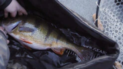 FKP-Gear Perch Station 10 FKP-Gear Perch Station -Sportfischen FKPPERCHSTATION 5