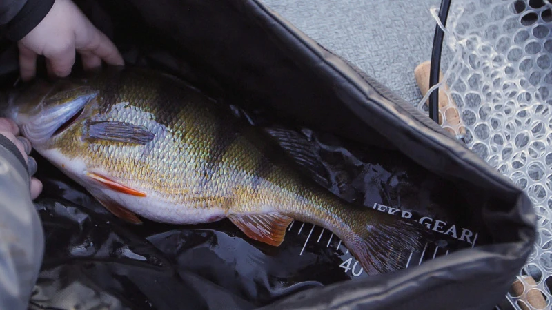 FKP-Gear Perch Station 5 FKP-Gear Perch Station – Bild 5