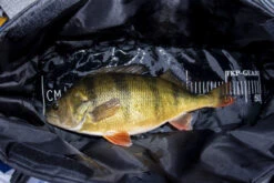 FKP-Gear Perch Station 11 FKP-Gear Perch Station -Sportfischen FKPPERCHSTATION 6