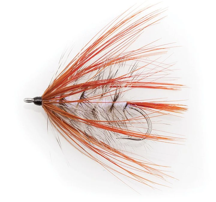 Autumn Fly - Mustad 34011 #6 1 Autumn Fly - Mustad 34011 #6