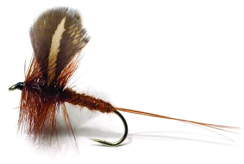 Rocken Dark Brown Daiichi 2220 #10 1 Rocken Dark Brown Daiichi 2220 #10