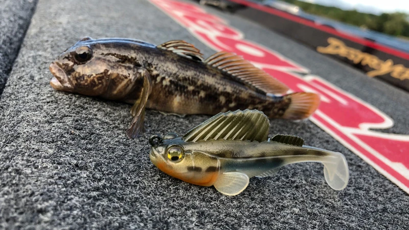 Megabass Dark Sleeper 2 Megabass Dark Sleeper – Bild 2