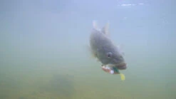 Megabass Dark Sleeper 7 Megabass Dark Sleeper -Sportfischen MB DS24 4513473452352r 5